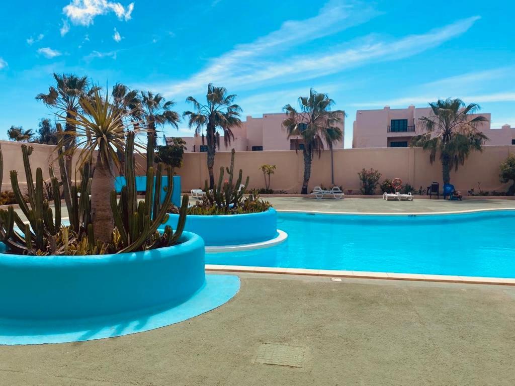 Surf And Chill Bungalow 70 Apartamento Parque Holandes Exterior foto