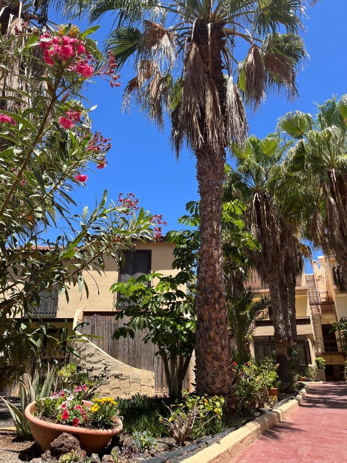 Surf And Chill Bungalow 70 Apartamento Parque Holandes Exterior foto