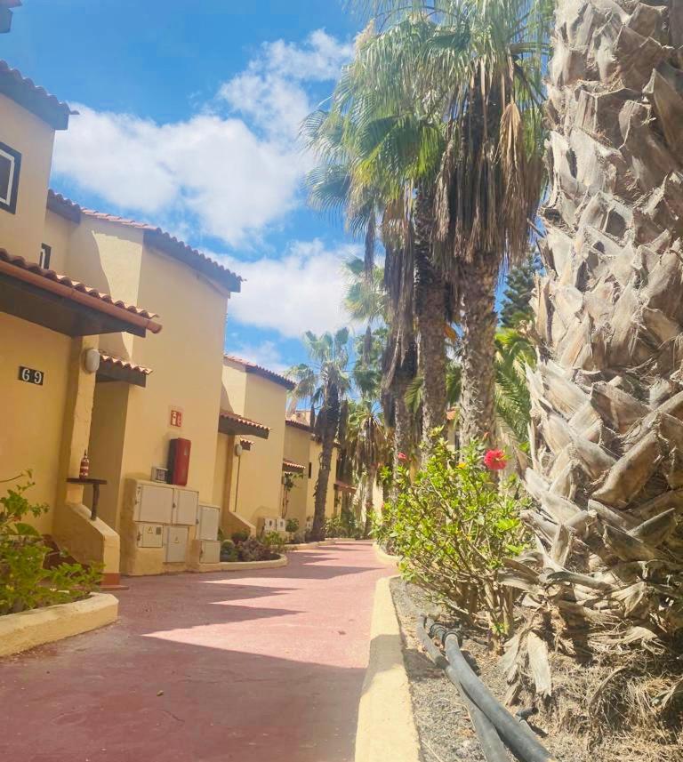 Surf And Chill Bungalow 70 Apartamento Parque Holandes Exterior foto